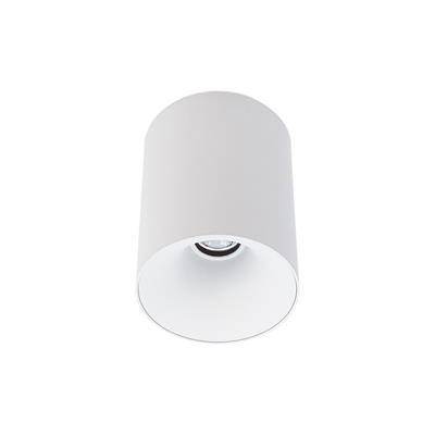 Downlights Fixed